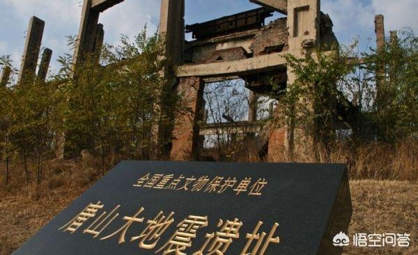 唐山大地震资料_唐山大地震资料100
