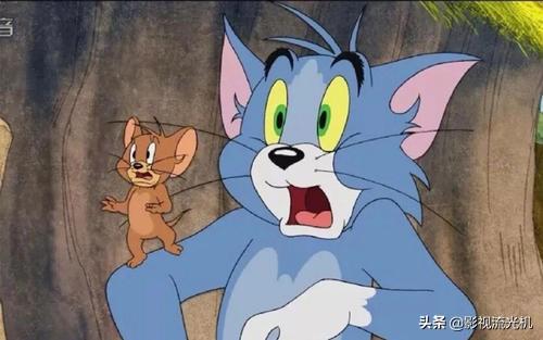 猫和老鼠（720P）全集完整版 国语高清 
