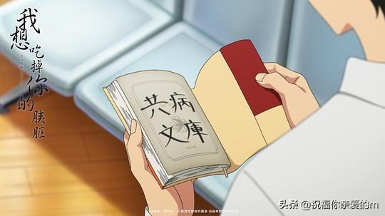 那些好看的「成人動畫」劇集 